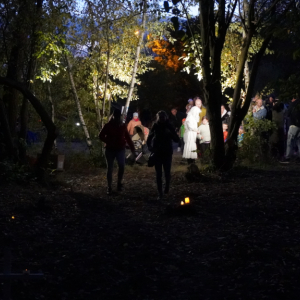 DSC08039.JPG
