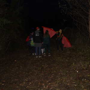 DSC08068.JPG