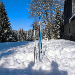 JARNÍ PRÁZDNINY V LEONARDU